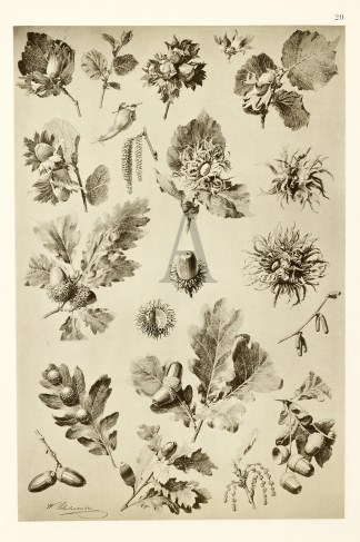 Untitled Art Nouveau