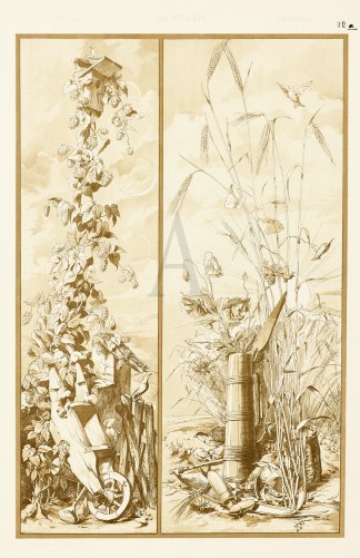 Untitled Art Nouveau