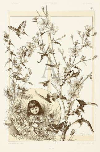 Untitled Art Nouveau