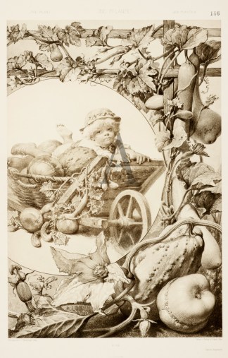 Untitled Art Nouveau