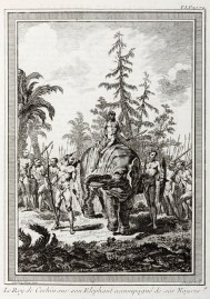 Le Roy de Cochin sur son Elephant accompagne de ses Nayres.