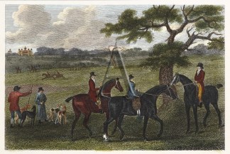 Coursing at Hatfield Equestrian