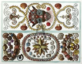 Capsa quinta and sexta.