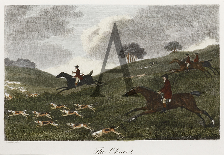 The Chase - Antique Print from 1805