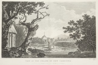 View in the Island of New Caledonia. Captain Cook
