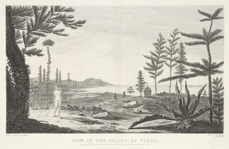 View in the Island of Pines. Captain Cook