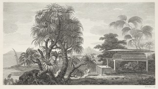 [A view in the island of Huaheine; with … Captain Cook