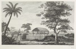 [A view in the island of Otaheite; with the house or shed called tupapow, under which the dead are deposited, and a representation of the person who performs the principal part in the funeral ceremony in his peculiar dress; with a man climbing the bread-f