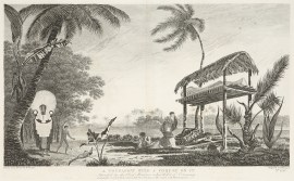 A Toupapow with a corpse on it attended by the chief mourner in his habit of ceremony.