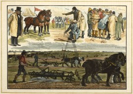 The Intercolonial Ploughing Match, Werribee Plains… Equestrian