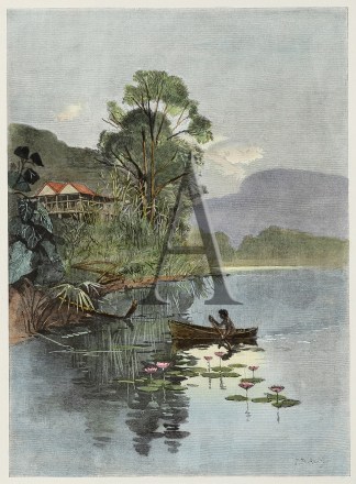 A Vista on the Barron River, Near Cairns Queensland