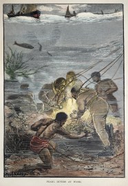 Pearl Divers at Work.