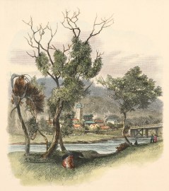 The Peel River at Tamworth. NSW - Country The Peel River at Tamworth.