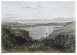 Quarantine Burial Ground, Port Jackson. NSW - Sydney