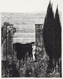 The Garden of Dreams