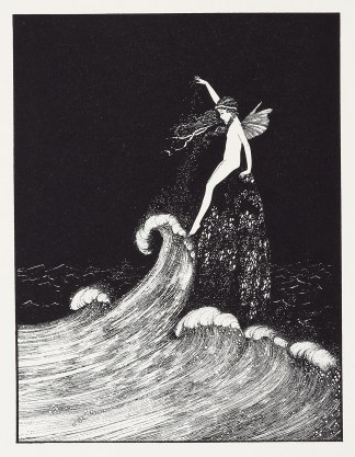 Flower of the Foam. Australian