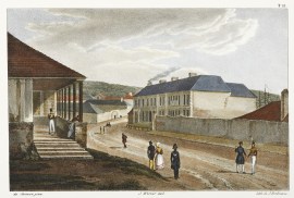 Ansicht Der Georgs - Strasse zu Sidney. [George Street, Sydney]