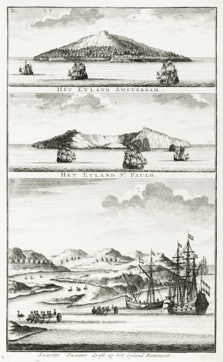 Swartte Swanne drift op het Eyland Rotte… Western Australia