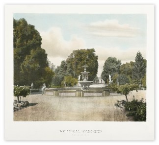 Botanical Gardens. Adelaide S.A. Adelaide