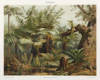 Farne I. Australian - General