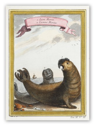 1. Lion Marin. 2. Lionne Marine Australian - General