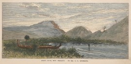 Cook’s Cove, New Zealand.  By Mr. J. C. Rich… North Island