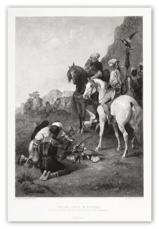 falcon-chase-in-algiers PRINTS & PHOTOGRAPHS