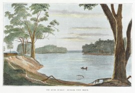 The River Murray: Renmark Town Reach. Regional The River Murray: Renmark Town Reach.