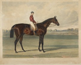 Amato, The Winner of the Derby Stakes at Epsom, 1838.