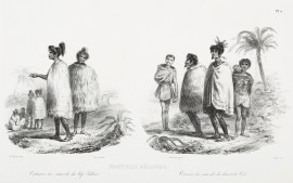 Nouvelle Zelande. Costumes des Naturels de Cap Palliser. Costumes des Naturels du Detroit de Cook.