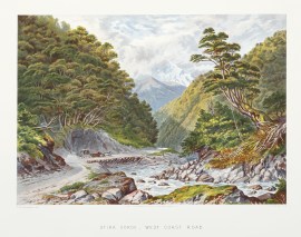 Otira Gorge, West Coast Road. NEW ZEALAND Otira Gorge, West Coast Road.