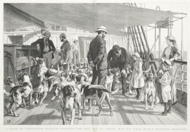 A pack of Foxhounds passing through the Red Sea on… Dogs