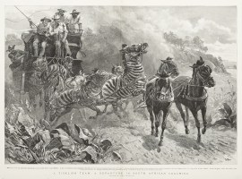 A ticklish team: a departure in South African coaching.