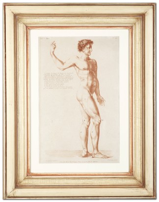 La hauteur de la figure de l’homme… Anatomical Various