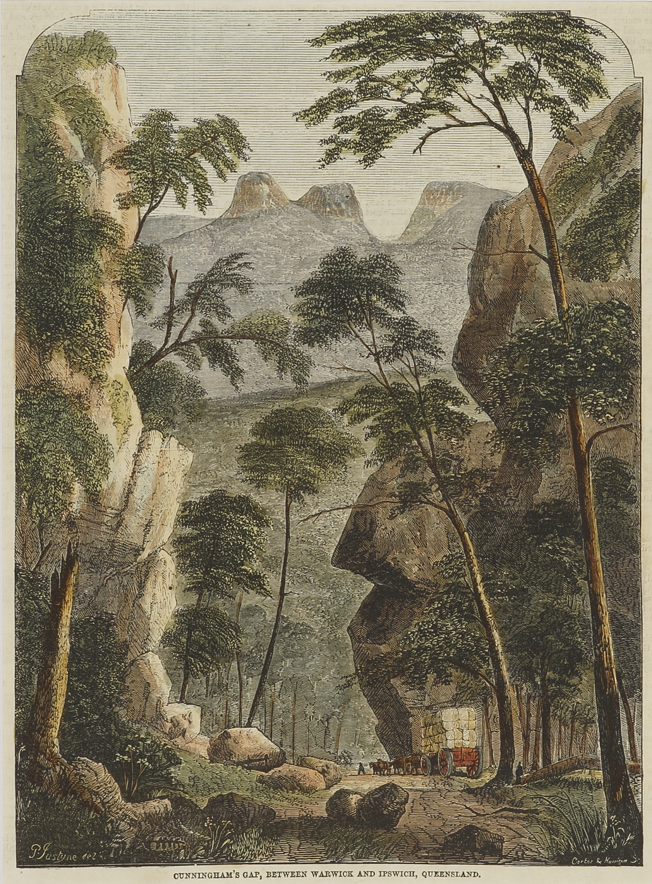 Cunningham's Gap, Between Warwick and Ipswich, Queensland. - Antique View from 1866