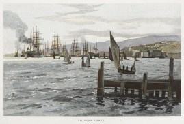 NZ-Wellington Harbour.