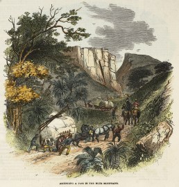 Ascending a Pass in the Blue Mountains. NSW - Country Ascending a Pass in the Blue Mountains.