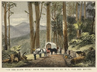 “On The Black Spur”. Regional
