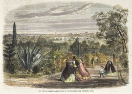 The Botanic Gardens-Melbourne in the Distance. Victoria - Melbourne The Botanic Gardens-Melbourne in the Distance.