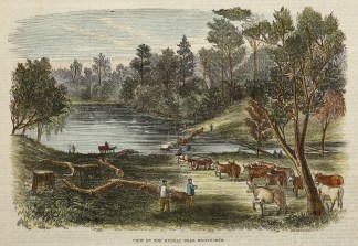 View on the Murray River Near Wentworth. Australiana (General)