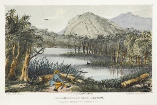 Illawarra, A Salt Lagoon. Regional