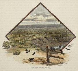 Summer on the Plains.