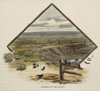 Summer on the Plains. Australiana (General)