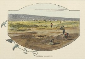 Teetulpa Gold-Field.