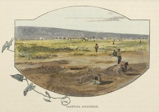 Teetulpa Gold-Field. Regional