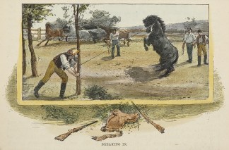 Breaking In. Australiana (General)