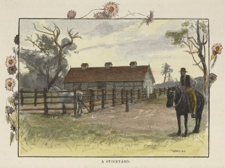 A Stockyard. Australiana (General)