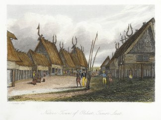 Native Town of Oliliet, Timor Laut. TOPOGRAPHICAL VIEWS