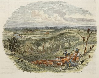 Scene on the Mummell Estate, near Goulbu… Regional