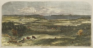View of Botany Bay. Sydney